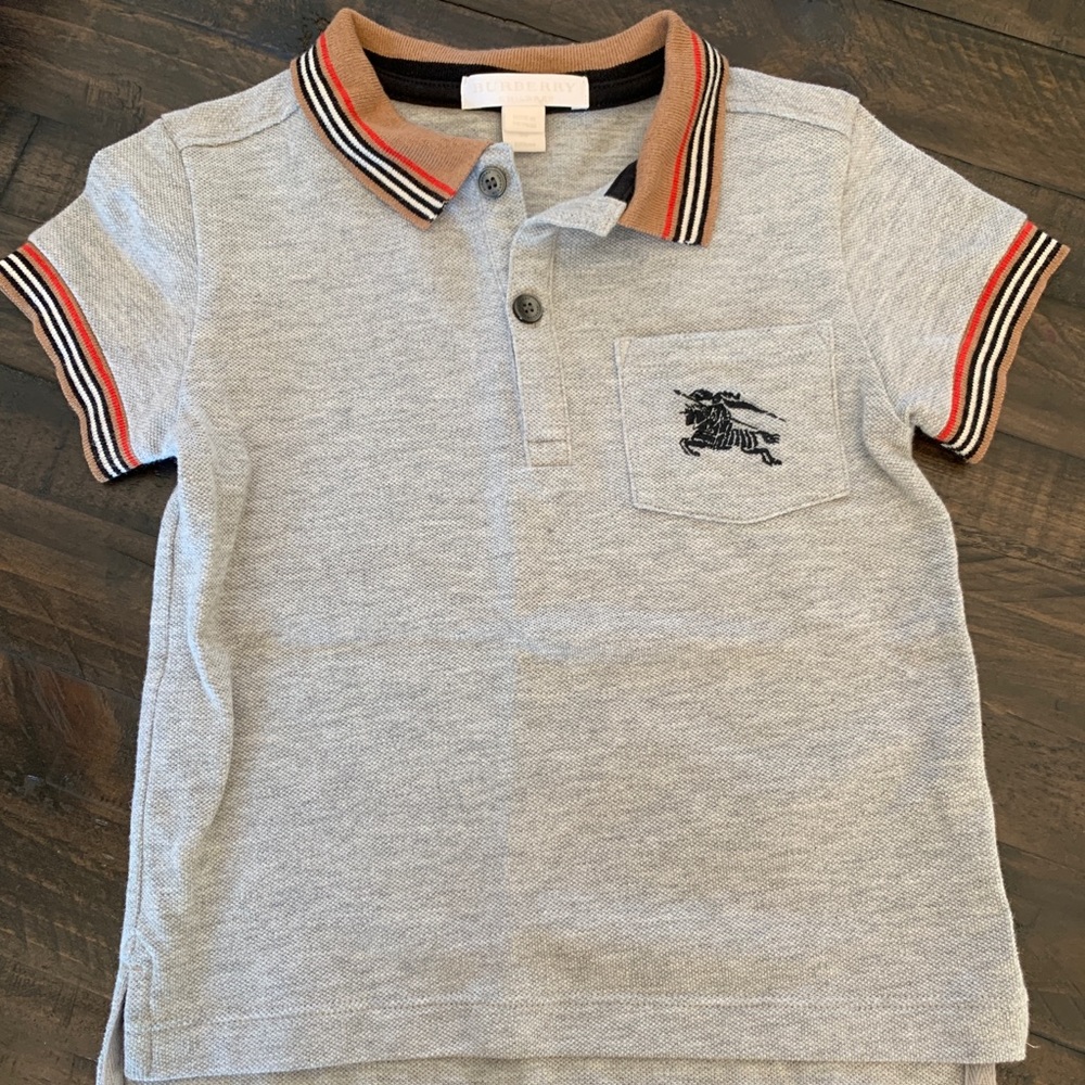 Gray Polo Shirt with Striped Collar